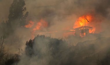 চিলিতে ভয়াবহ দাবানলে নিহত বেড়ে ১১২, আরও শত শত নিখোঁজ