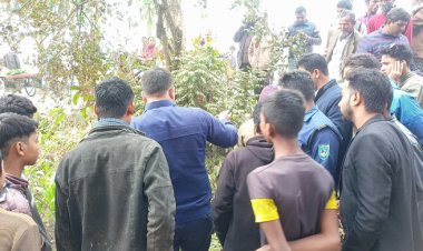 লালমনিরহাটে ভুট্টাক্ষেতে মিললো নবজাতকের মরদেহ