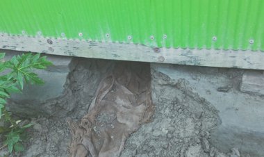  সুবর্ণচরে এবার ঘরে সিঁদকেটে মা-মেয়েকে ধর্ষণের অভিযোগ