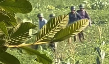 মিয়ানমারে সংঘাত: দুপুরের পর পালিয়ে এসেছে আরও ৩৫ জন
