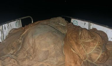 গভীর রাতে হালদায় অভিযান, ৪ হাজার মিটার জাল জব্দ