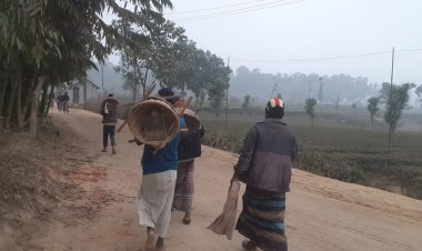 পঞ্চগড়ের তাপমাত্রা ১১.৬ ডিগ্রি