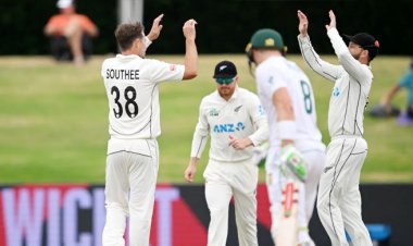 দক্ষিণ আফ্রিকাকে বিশাল ব্যবধানে হারালো নিউজিল্যান্ড