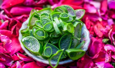 ত্বকে উজ্জ্বলতা আনবে গোলাপের ৮ প্যাক