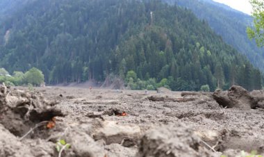  জর্জিয়ায় ভূমিধসে চারজনের মৃত্যু
