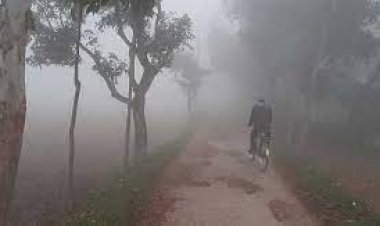 পঞ্চগড়ে আবারও ৭.৭ ডিগ্রিতে নামলো তাপমাত্রা