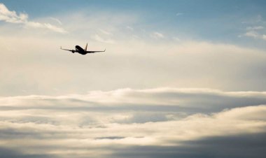 ফ্লোরিডায় প্লেন বিধ্বস্ত, নিহত ২