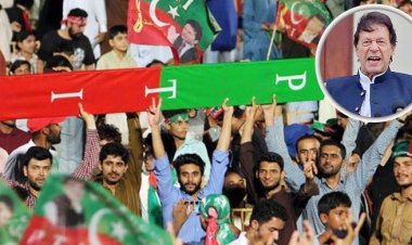  সরকার নাকি বিরোধীদলে যাবে ইমরানপন্থিরা, সংবিধানে কী আছে?