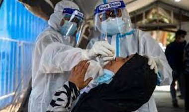 ৫১ জনের করোনা শনাক্ত, মৃত্যু নেই