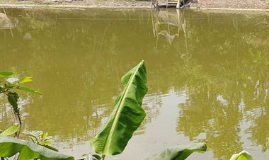 নোয়াখালীতে পানিতে ডুবে ৩ শিশুর মৃত্যু