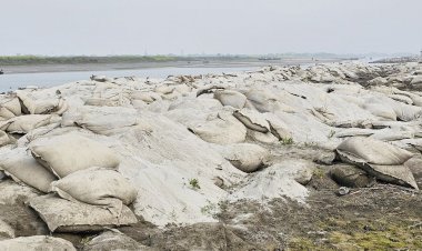 জিওব্যাগের বালু ফেলে ব্যাগ চুরি, বর্ষায় আবারও ভাঙতে পারে পদ্মা