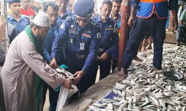 চাঁদপুরে ১১২ মণ জাটকা জব্দ, ৭ অটোরিকশাসহ ৪০জন আটক