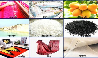 ভাঙলো ভাতঘুম, জিআই নিতে হঠাৎ তাড়াহুড়া