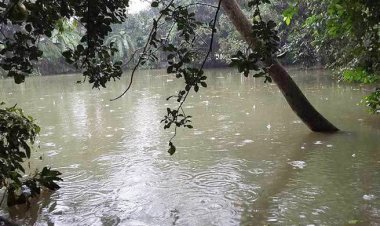  সপ্তাহ শেষে ফের বৃষ্টি হতে পারে