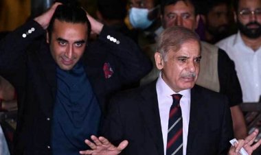  জোট সরকার গঠন সেনাবাহিনীকে দিয়ে পিপিপি’র ওপর চাপ বাড়াচ্ছে পিএমএল-এন!