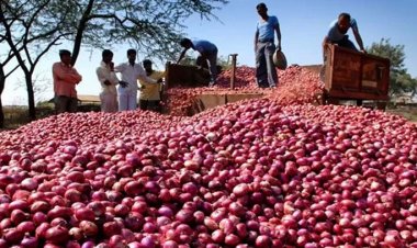 বাংলাদেশে পিয়াজ রপ্তানির নিষেধাজ্ঞা তুলে নিলো ভারত