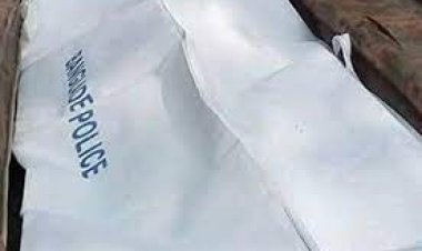 কুয়াকাটায় স্বামী-স্ত্রীর ঝুলন্ত লাশ উদ্ধার