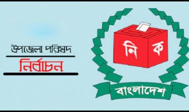  উপজেলা নির্বাচনে প্রার্থীরা কত ব্যয় করতে পারবেন জানালো ইসি