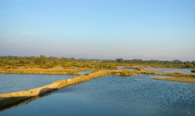 টেকনাফ সীমান্তে ফের গোলাগুলির শব্দ, আতঙ্কে সাধারণ মানুষ