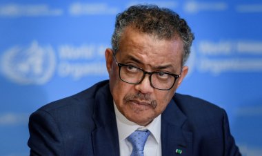 পরিস্থিতি অমানবিক, গাজা উপত্যকা এখন ‘ডেথ জোন’: ডব্লিউএইচও