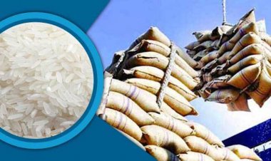  চাল রপ্তানিতে ২০ শতাংশ শুল্ক অব্যাহত রাখছে ভারত