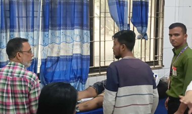 মায়ের জানাজা পড়তে এসে প্রাণ গেল ছেলে-জামাতার 