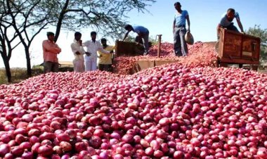  মার্চের প্রথম সপ্তাহেই ভারত থেকে আসছে পেঁয়াজ