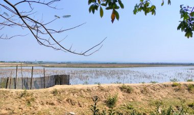 ফের টেকনাফ সীমান্তে গোলাগুলির শব্দ