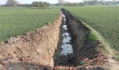  পেঁয়াজ ক্ষেতে খাল খনন করে ইটভাটায় মাটি বিক্রি মেম্বারের