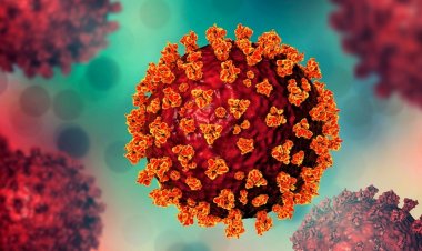 ৪৫ জনের করোনা শনাক্ত, সুস্থ ৪৬