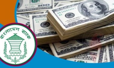 বাংলাদেশ ব্যাংকে ৫৯ কোটি ডলার রেখে টাকা নিলো ১২ ব্যাংক