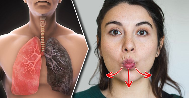 ফুসফুস পরিষ্কার রাখবেন কীভাবে?