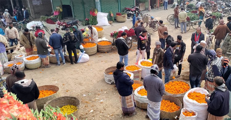 ফাগুন হাওয়ায় গাঁদা ফুলের আগুন দাম