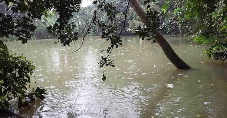 সপ্তাহ শেষে ফের বৃষ্টি হতে পারে