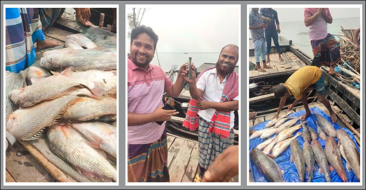 সুন্দরবনে জেলের জালে মাছের ঝাঁক, সোয়া ৪ লাখে বিক্রি