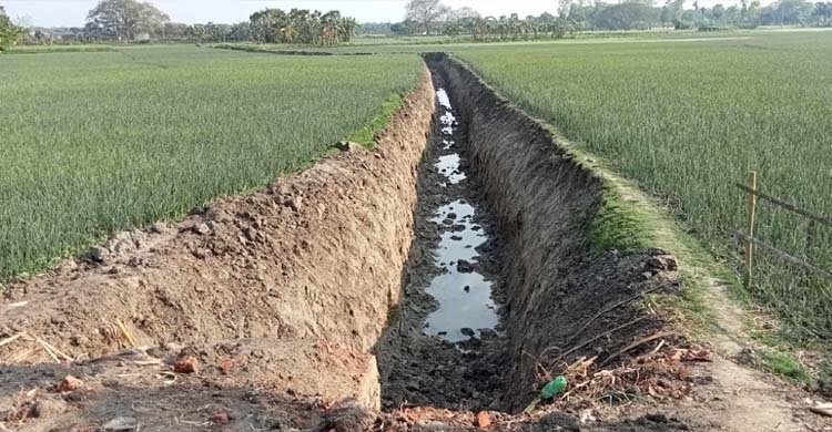 পেঁয়াজ ক্ষেতে খাল খনন করে ইটভাটায় মাটি বিক্রি মেম্বারের
