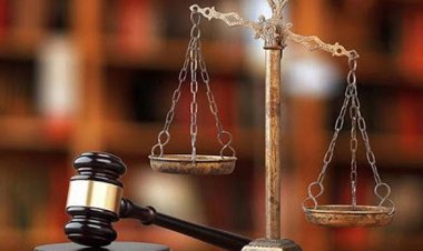 হলমার্ক কেলেঙ্কারির এক মামলায় ২ ম্যাজিস্ট্রেটের সাক্ষ্য