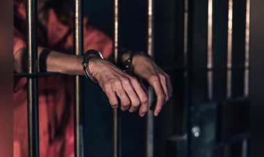 দিল্লি বিমানবন্দরে বোমাতঙ্ক ছড়ানোয় বাংলাদেশি গ্রেপ্তার