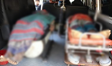 নরসিংদীতে বিদ্যুৎস্পৃষ্টে দুই ভাইয়ের মৃত্যু