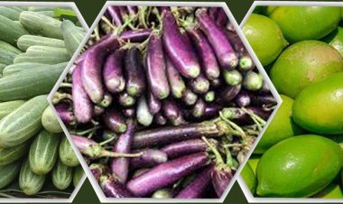 রোজার আগের দিন অস্থির লেবুর বাজার, চড়া শসা-বেগুন