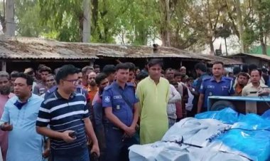 সড়কে উঠতেই অটোভ্যানে ট্রাকের ধাক্কা, নিহত ৩