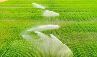 খরাপ্রবণ অঞ্চলে ‘কৃত্রিম বৃষ্টিধারা’ সেচের পরিকল্পনা