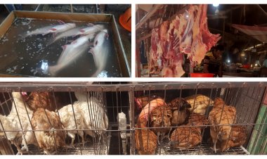 মাছ-মাংস-মুরগি কোনোটাই পাওয়া যাচ্ছে না সরকারি দামে