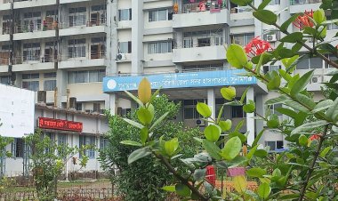 ভারত থেকে কয়লা আনতে গিয়ে দুই শ্রমিকের মৃত্যু