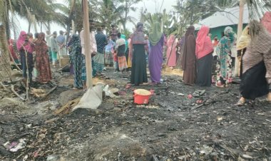 নোয়াখালীতে অগ্নিদগ্ধ হয়ে বৃদ্ধের মৃত্যু, বসতঘর-গরু পুড়ে ছাই 