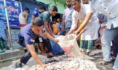 ৪০০ কেজি জাটকাসহ আটক ৪