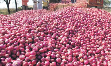 পেঁয়াজ রপ্তানি অনির্দিষ্টকালের জন্য স্থগিত করল ভারত