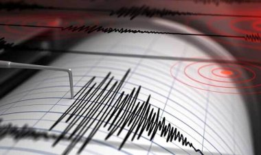  পাপুয়া নিউ গিনিতে শক্তিশালী ভূমিকম্পে নিহত ৫     