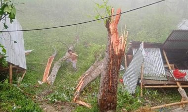 ঘূর্ণিঝড়ে লন্ডভন্ড আলফাডাঙ্গার ২৪ গ্রাম