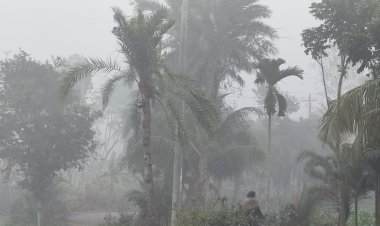 ৪ বিভাগে ঝোড়ো হাওয়াসহ বৃষ্টির আভাস 
